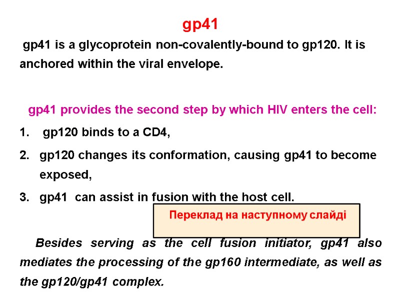 gp41   gp41 is a glycoprotein non-covalently-bound to gp120. It is anchored within